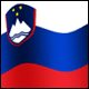 3D Slovenia Flag avatar