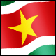 3D Suriname Flag avatar
