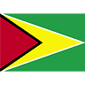 Guyana Flag (transparent) avatar