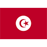 Tunisia Flag avatar