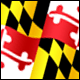 3D Maryland Flag avatar