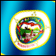 3D Minnesota Flag avatar