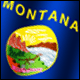 3D Montana Flag avatar