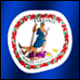 3D Virginia Flag avatar