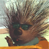 Porcupine In Class avatar