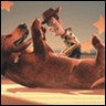 Dog with cowboy avatar