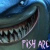 Fish are friends avatar