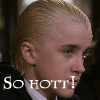Draco is hot avatar
