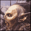 Orc avatar
