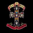 Appetite For Destruction avatar