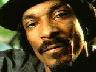 Snoop Dogg Snarling avatar
