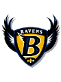 Baltimore Ravens 2 avatar