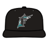 Florida Marlins Cap avatar