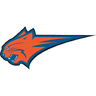 Charlotte Bobcats 2 avatar