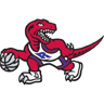 Toronto Raptors 2 avatar