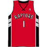 Toronto Raptors Alternate Shirt avatar