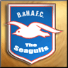 Brighton and Hove Albion (Gold) 14 5 avatar