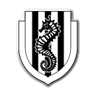 AC Cesena avatar