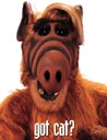 ALF avatar