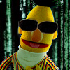 Matrix Bert avatar