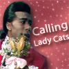 Calling lady cats avatar