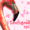 I flamingoed up avatar