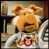 Muppet Strangepork avatar