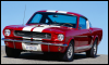 Mustang avatar