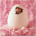 Egg baby avatar