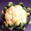 Cauliflower avatar