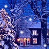 Christmas snow avatar