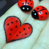 Ladybug love avatar