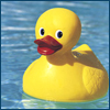 Rubber Ducky avatar