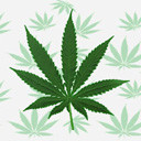 Pot leaf avatar