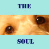 The soul avatar
